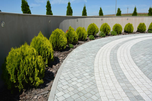 Best Concrete Paver Driveway  in Purvis, MS